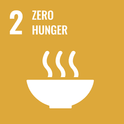SDG 10